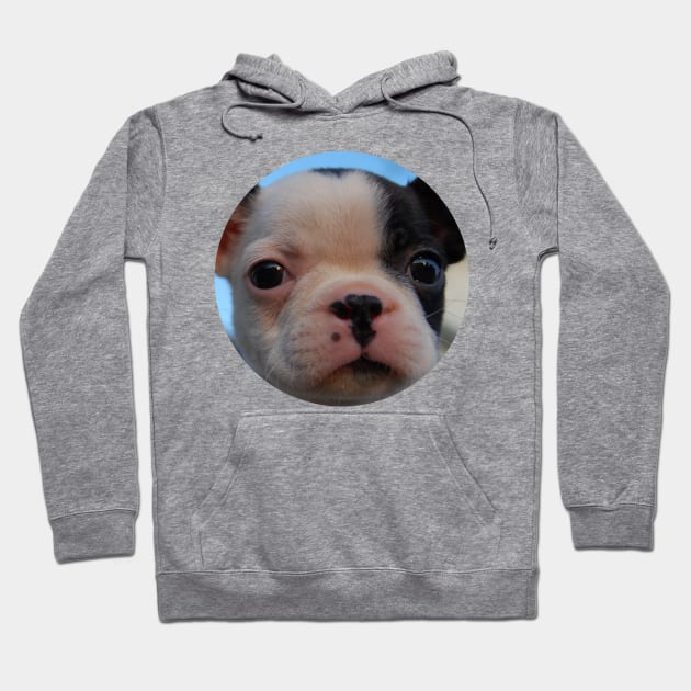 puppy dog dogs doggy pet Hoodie by FromBerlinGift